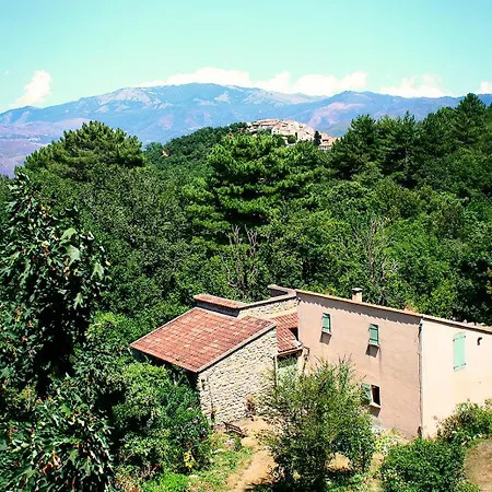 - Pub Le Petit Bosquet Hotel Santo-Pietro-di-Venaco